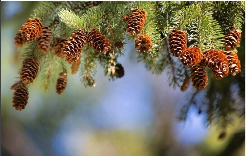 Nieuwsbrief Wintereditie 2024